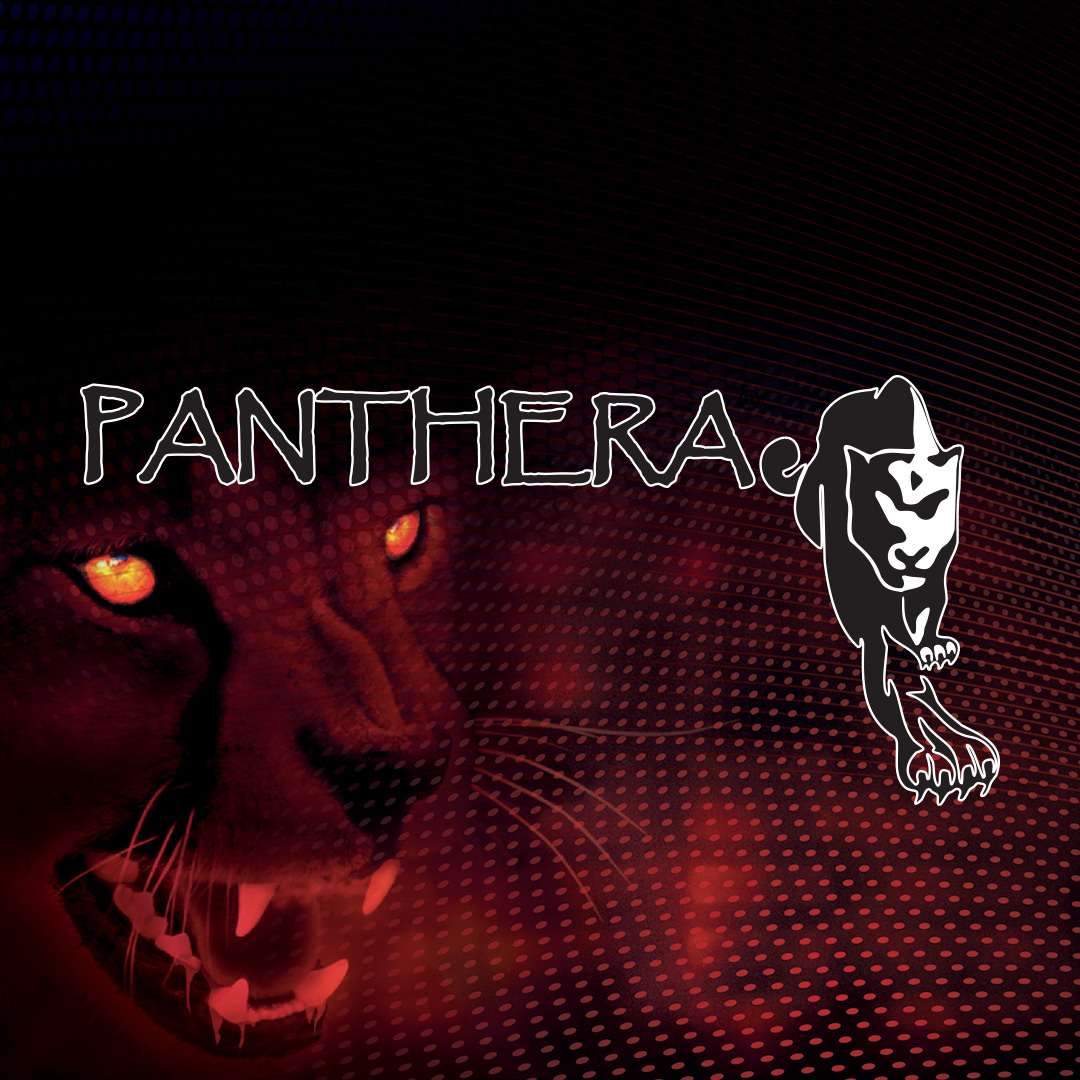 Panthera brand disposable gloves